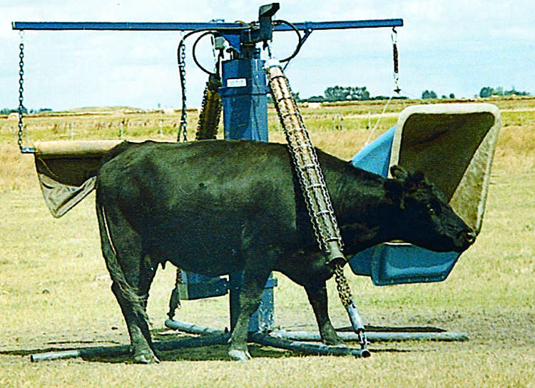 Lewis Cattle Oiler  Riverland Farm and Ranch Equipment